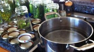 Огурцы на зиму хрустящие