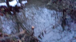 Охота на бобра