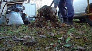 6 соток. 8-10 октября 2025 г. Наконец-то скосил траву за забором.