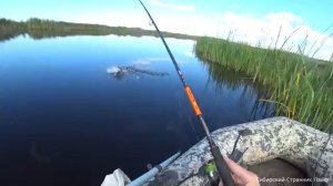 Половил травянку, прямо за огородами.Рыбалка в Сибири.