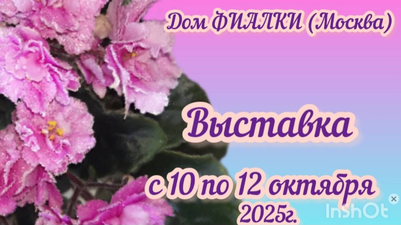 ФИАЛКИ - 2025. Выставка в Доме Фиалки с 10 по 12 октября 2025г. (Москва)