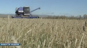 Новости недели 11 октября 2025 (ТВ-5 Приаргунск)