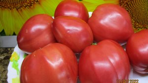 Томат Тайные сокровища вечности. ДЕГУСТАЦИЯ СОРТА.