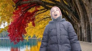 Вот такая осень...