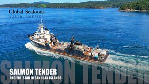 🎣 Транспортное судно для лосося “Pacific Star” между островами Сан-Хуан и Шоу (DJI Mini 4)