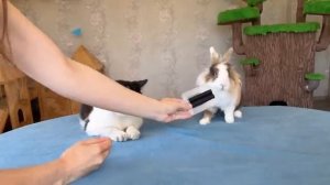 Распаковка посылок от подпищиков