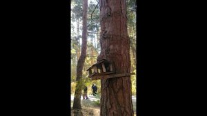 Моё путешествие в парке 40-летия ВЛКСМ, 7 октября 2025 г