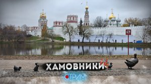 Хамовники – СТРИМ