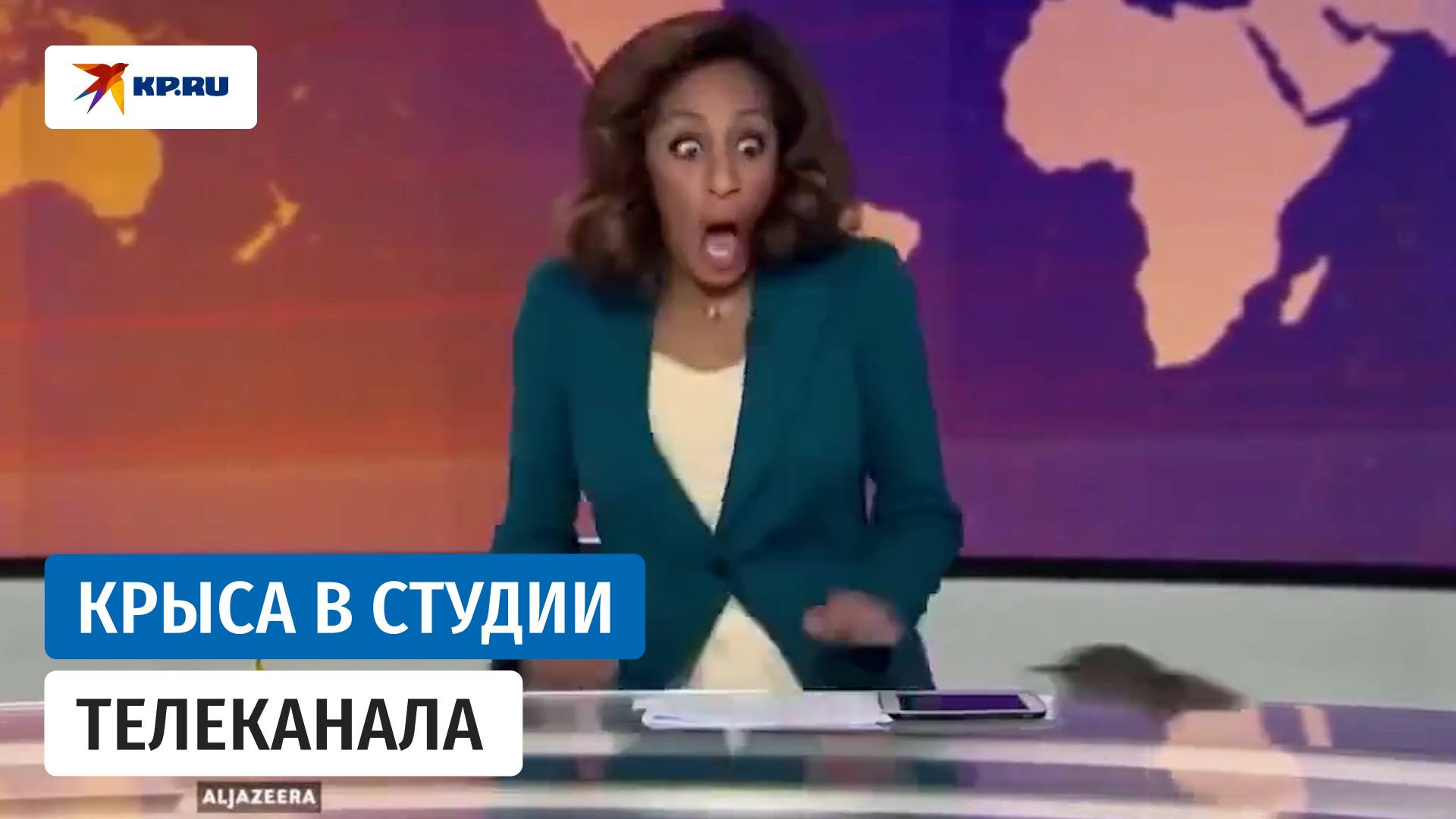 Крыса «забежала» на прямой эфир в Британии
