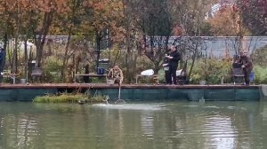 Здесь рыба ест . РК Фишка Липки.