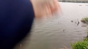 Утренний нано джиг!