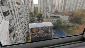 Синицы дома на кормушке, 11 октября 2025