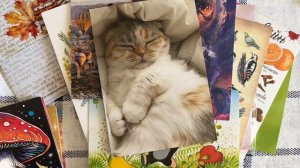 Входящие открытки за сентябрь 2025 (2 часть)