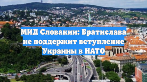 МИД Словакии: Братислава не поддержит вступление Украины в НАТО