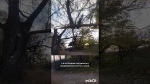 от города до берега вело рыбалка