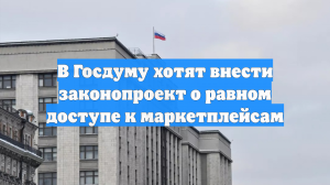 В Госдуму хотят внести законопроект о равном доступе к маркетплейсам