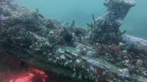 Деревянная зверобойная шхуна Лахтак