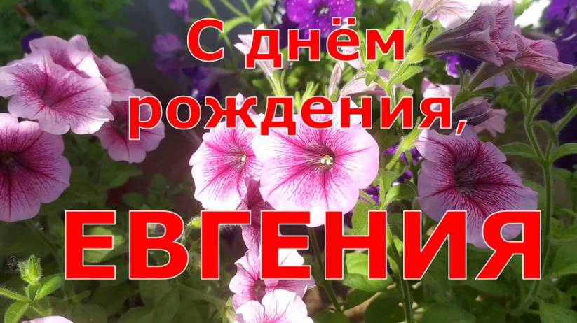 С ДНЁМ РОЖДЕНИЯ, ЕВГЕНИЯ