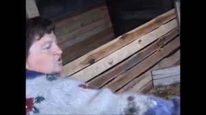 Оригинальная ЭМ-технология на подворье (Амурская область)