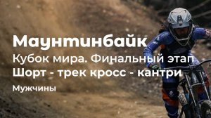 Маунтинбайк. Кубок мира. Финальный этап в Мон-Сент-Анне, Канада. Мужчины. Шорт-трек кросс-кантр