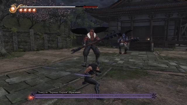 ВСЕ БОССЫ NINJA GAIDEN 2 Black1