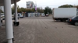 СОС, пропал ребенок