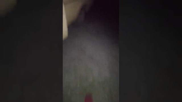 Что то пошло не так 😅