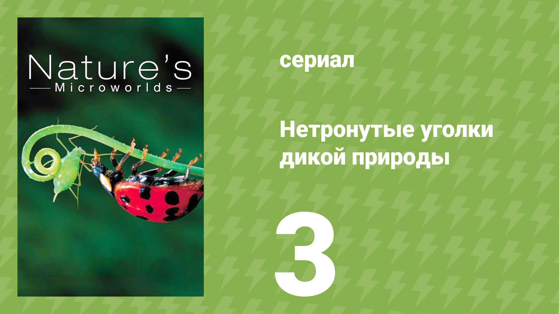 Нетронутые уголки дикой природы 3 серия «Амазония» (документальный сериал, 2012)