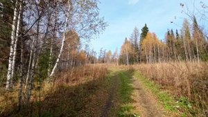 Поездка на Ялангас. Белорецкий район. Башкортостан. Южный Урал.