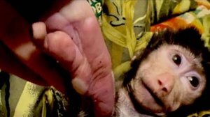 У нас НОВАЯ БЕДА с маленькой Анфисой, теперь она не ходит, мы ее просто носим на руках!