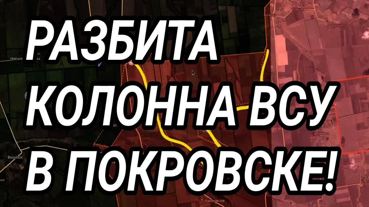 РАЗБИТА КОЛОННА ВСУ У ПОКРОВСКА. КУПЯНСК, СЕВЕРСК. Военные сводки 12.10.2025