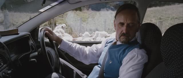 Паршивая овца ИИ часть 1