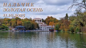 Нальчик, золотая осень, 11.10.2025г.