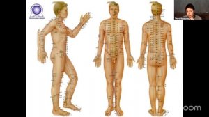 Почему традиционная медицина не работает в новых условиях