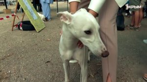 Клуб Шико. Выпуск от 11.10.25