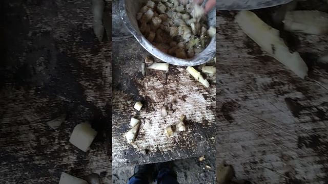 готовим с курями