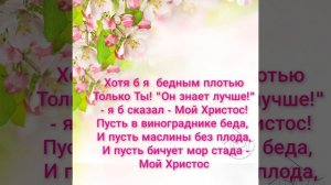 Кто есть на небе у меня