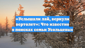 «Услышали лай, вернули вертолет»: Что известно о поисках семьи Усольцевых