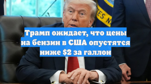 Трамп ожидает, что цены на бензин в США опустятся ниже $2 за галлон