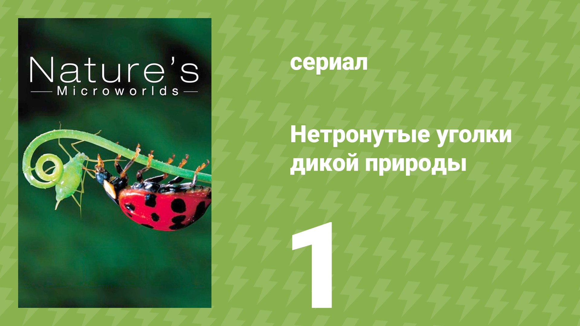 Нетронутые уголки дикой природы 1 серия «Галапагосы» (документальный сериал, 2012)