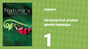 Нетронутые уголки дикой природы 1 серия «Галапагосы» (документальный сериал, 2012)