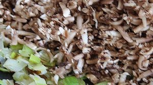 Рулет из лаваша с грибами