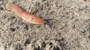 Кубань, на пару часов