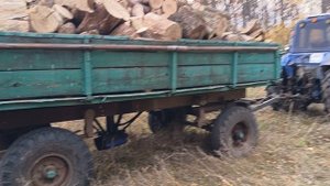 Осень 🍂золотая , заготовили дрова.