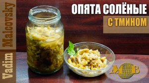Опята солёные холодным способом с тмином. Мальковский Вадим
