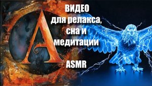 🐱🐶🐰🐹🐾✨🎧😌🧡🌟 ASMR: Какого питомца ты бы выбрал? 🐱🐶 |  звуки AI ASMR