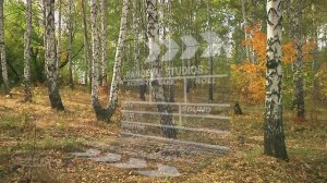 " У берез и сосен тихо бродит ... " Музыкальная шкатулка