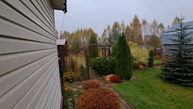 Крыша с проблемами. Завела свет)