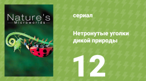 Нетронутые уголки дикой природы 12 серия «Красный центр Австралии» (документальный сериал, 2012)