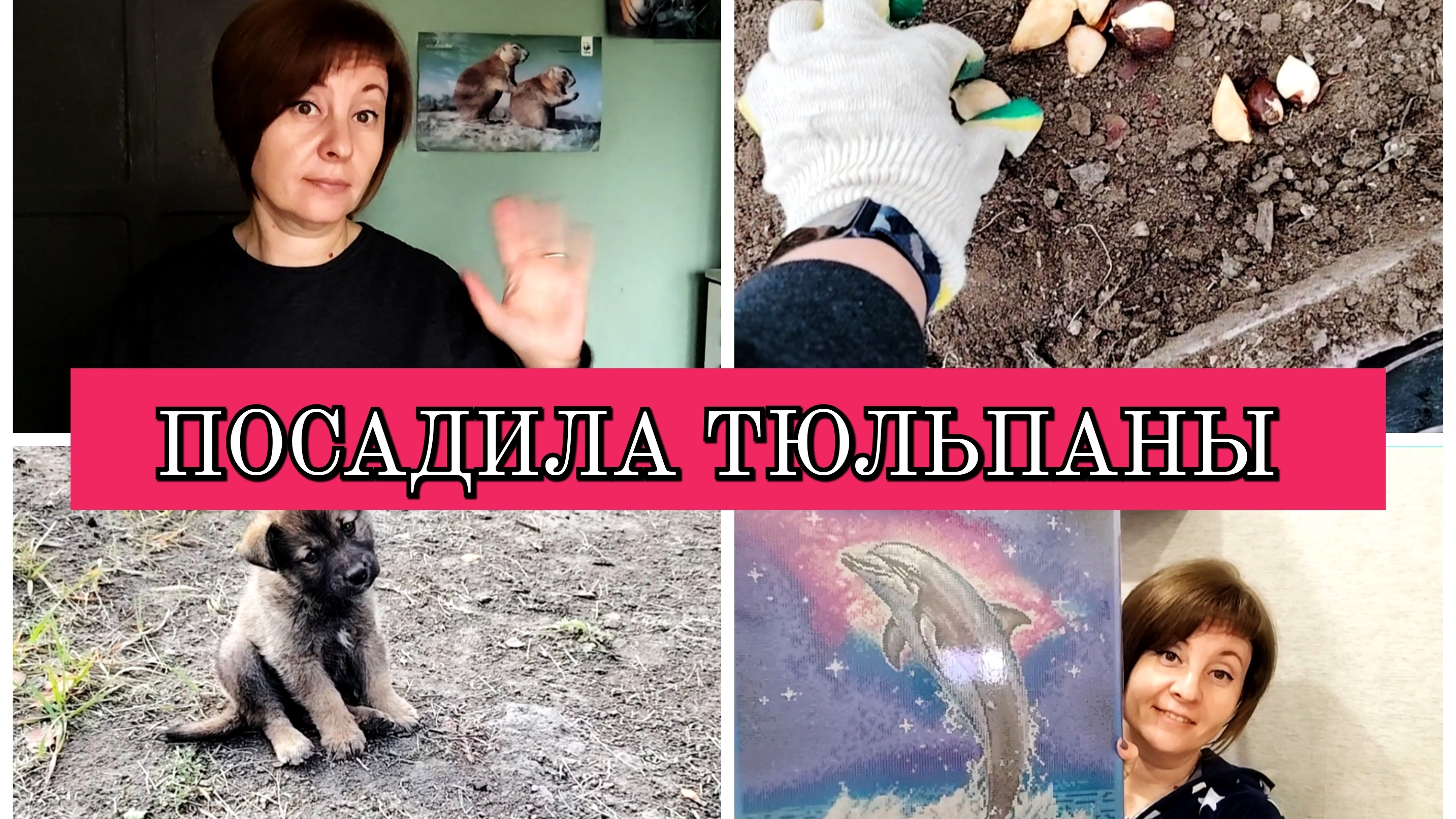 11-10-2025 НАВЕЛА ПОРЯДОК НА ГРЯДКЕ👍ПОСАДИЛА ТЮЛЬПАНЫ🌷КУПИЛА СЕБЕ РАДОСТЬ🐬ОТВЕЧАЮ НА КОММЕНТАРИИ❤